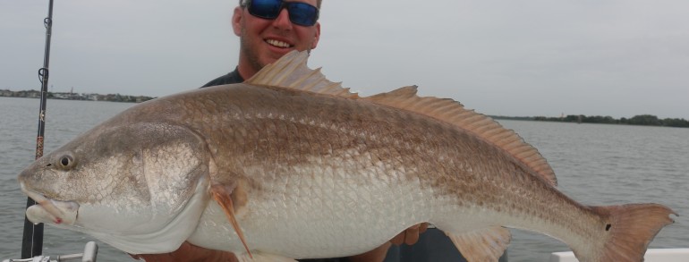 Wess with a fat Bull Red