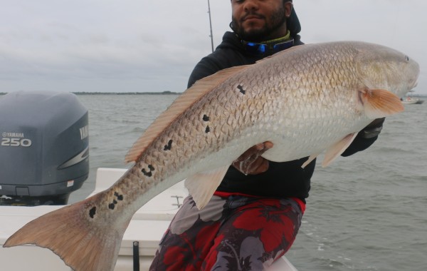 A Monster holding a Monster!