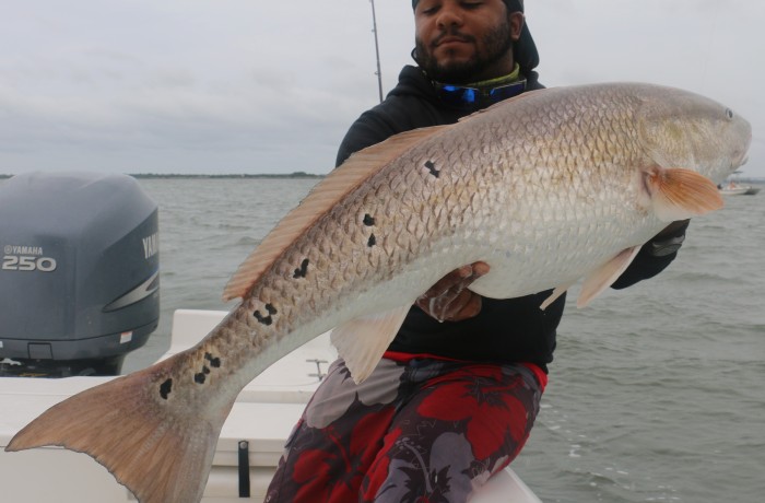 A Monster holding a Monster!