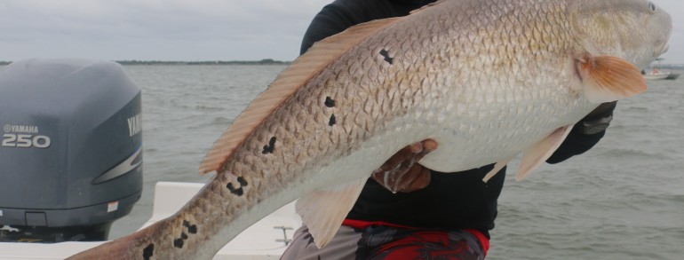 A Monster holding a Monster!
