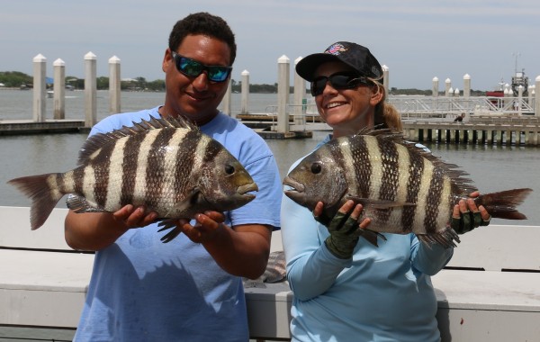 Two 9 pound Sheepshead