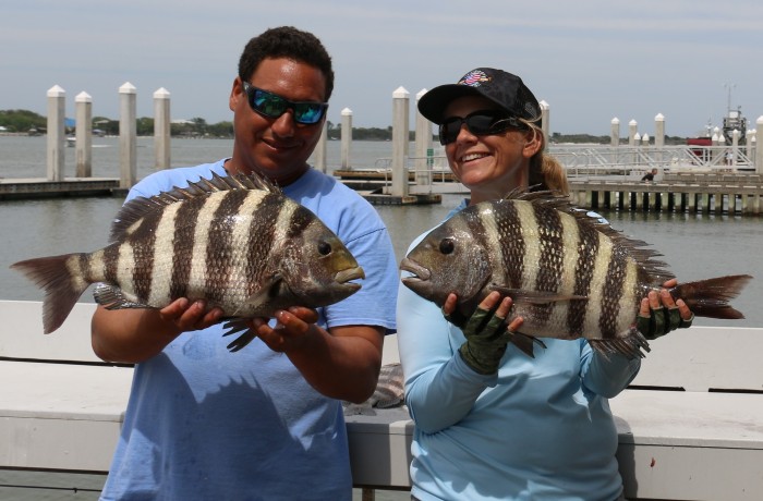 Two 9 pound Sheepshead