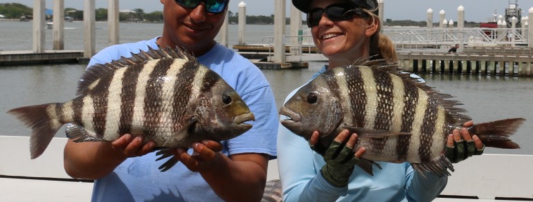 Two 9 pound Sheepshead