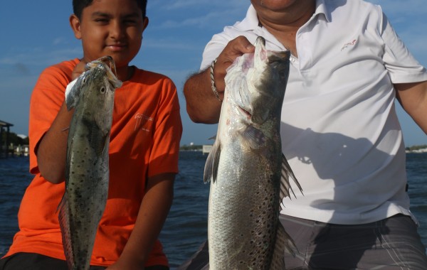 26 inch Speckled Trout