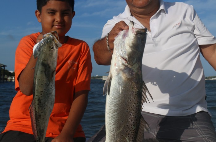 26 inch Speckled Trout