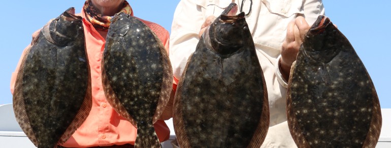 Couple of solid Flatties