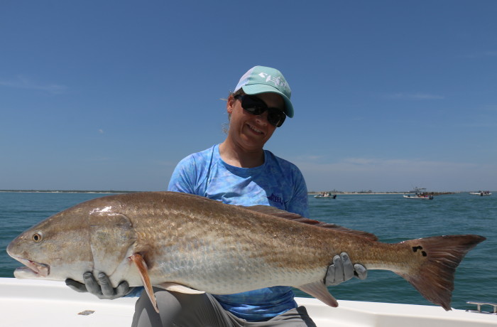 44 inch Bull Red