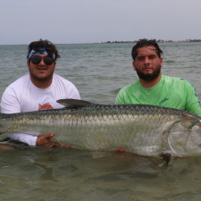 140 pound Tarpon