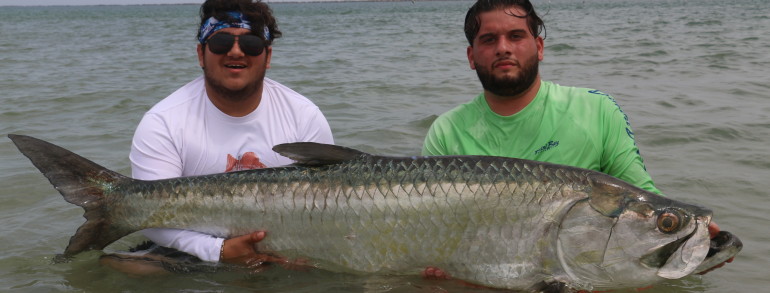 140 pound Tarpon