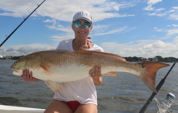46 inch Bull Red