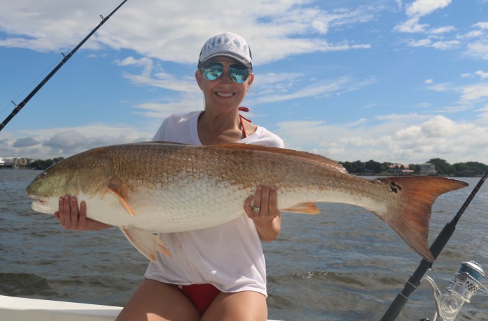 46 inch Bull Red