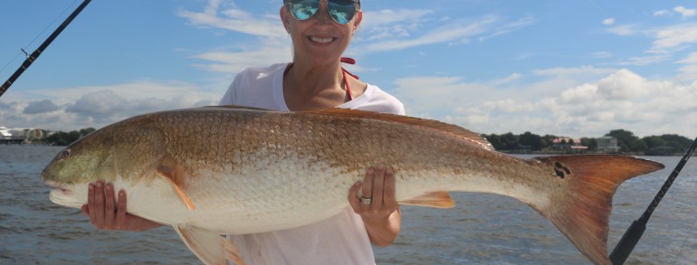 46 inch Bull Red