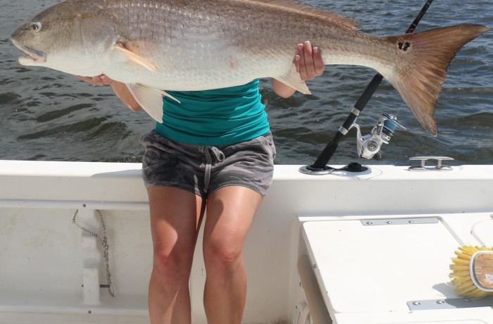 Monster River Bull