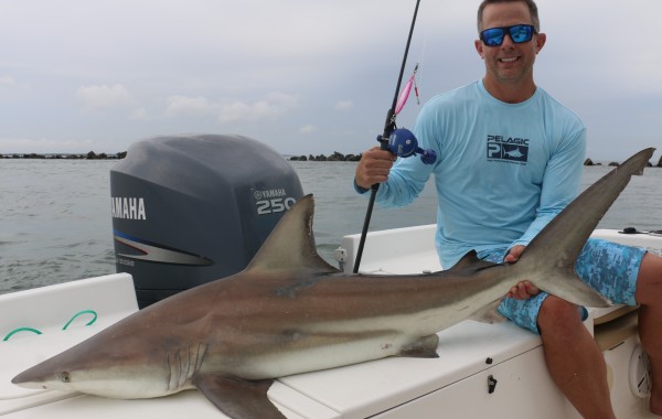 Little 5 foot Black Tip