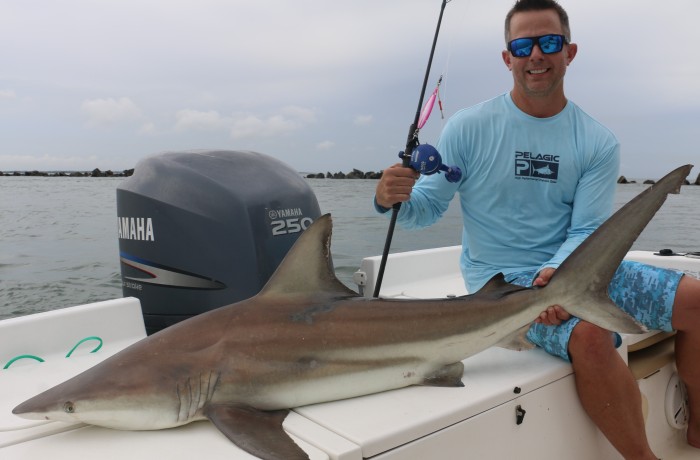 Little 5 foot Black Tip