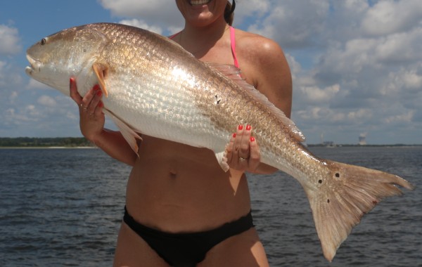 Pretty little River Red