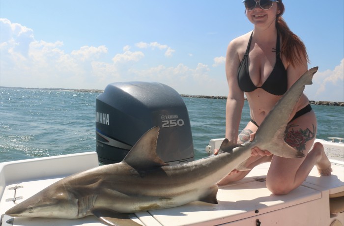 Black Tip on deck