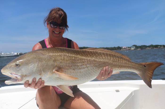 45 inch Bull Red