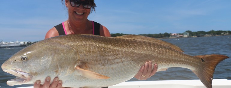 45 inch Bull Red