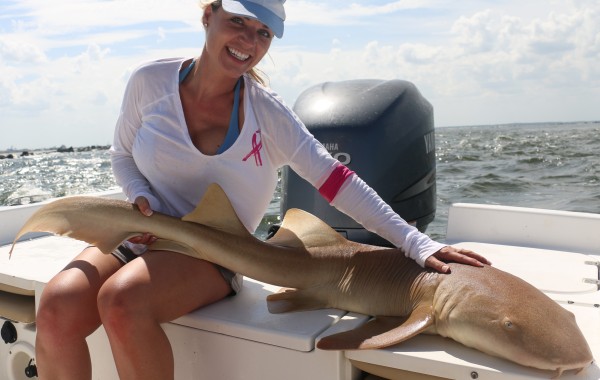5 foot Nurse Shark