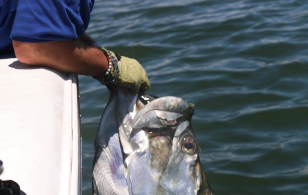 The mouth of a giant