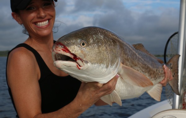 Pretty little river Bull