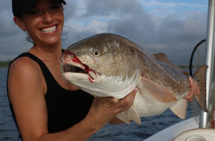 Pretty little river Bull