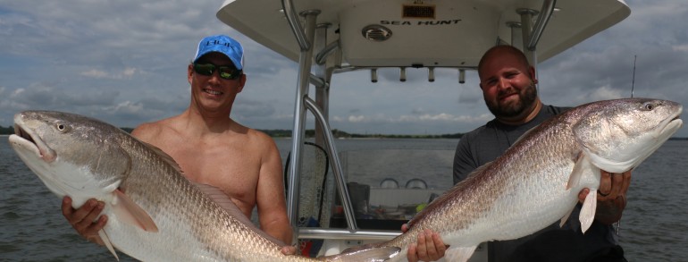 Double giant Bull Reds