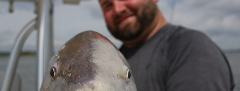Yin Yang Red? Check out that face