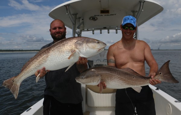 Two monster Bull Reds