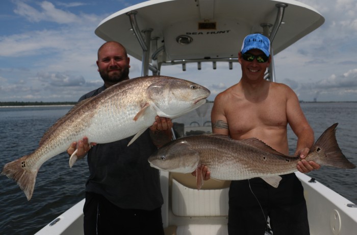 Two monster Bull Reds