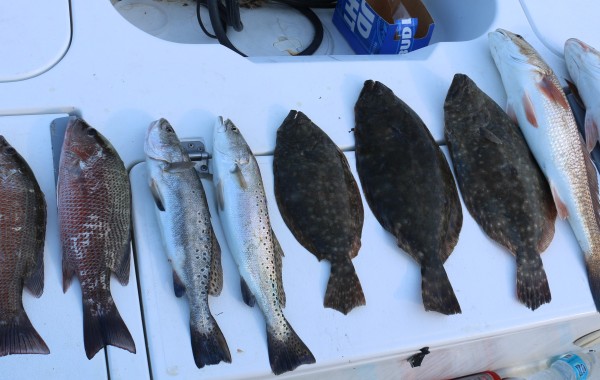Dual North East Florida Slams