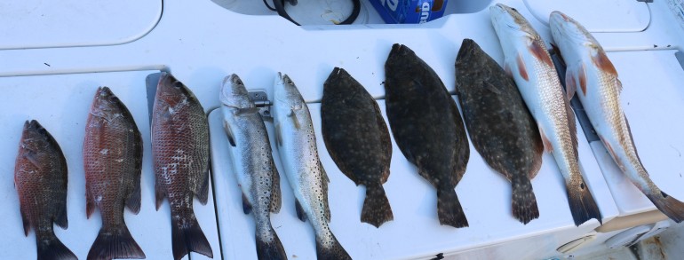 Dual North East Florida Slams