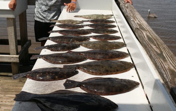 Limits of Flounder