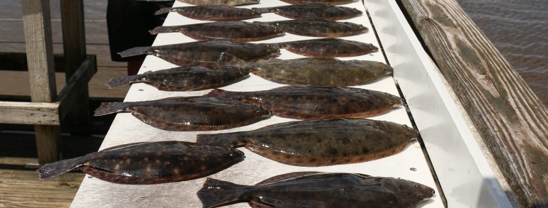 Limits of Flounder