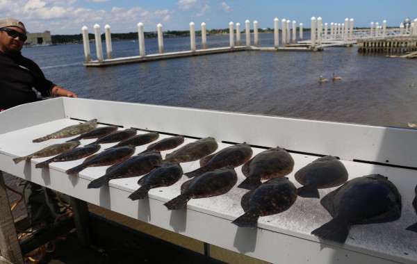 A spread of amazing eating Southern Flounder