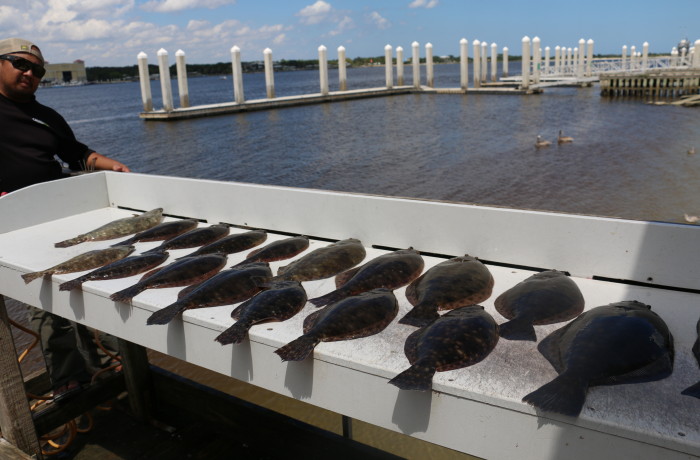 A spread of amazing eating Southern Flounder