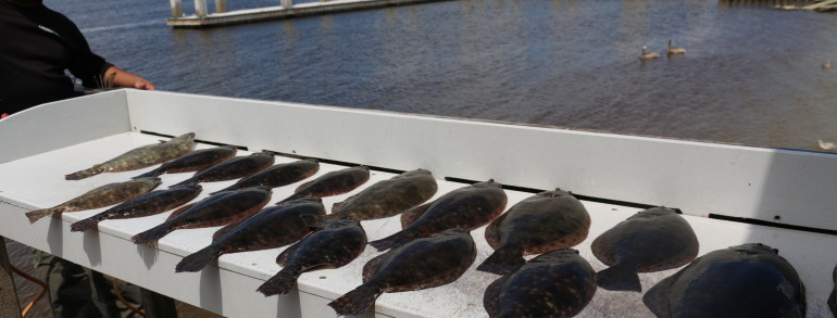 A spread of amazing eating Southern Flounder