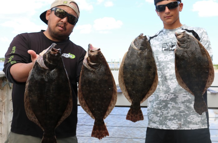 Several solid Flounder