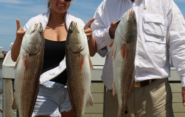 A trio of perfect upper slot Red Drum