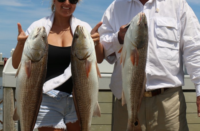 A trio of perfect upper slot Red Drum
