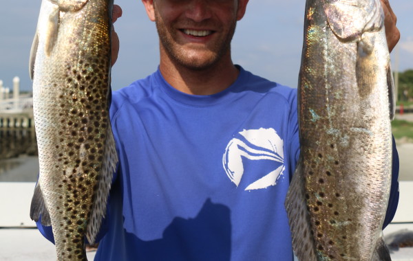 A pair of North East Florida Gators