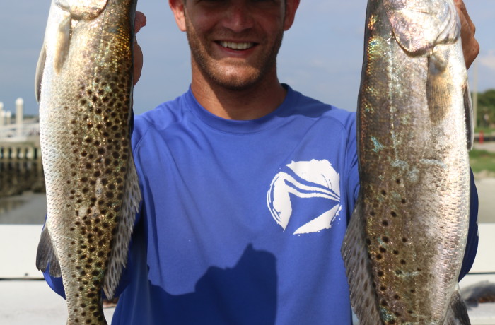 A pair of North East Florida Gators