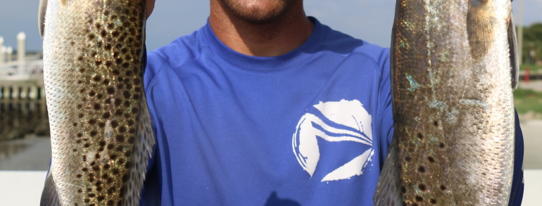 A pair of North East Florida Gators