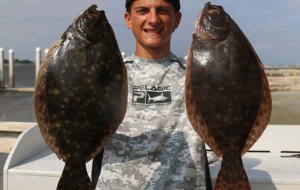 Solid pair of Summer Flounder