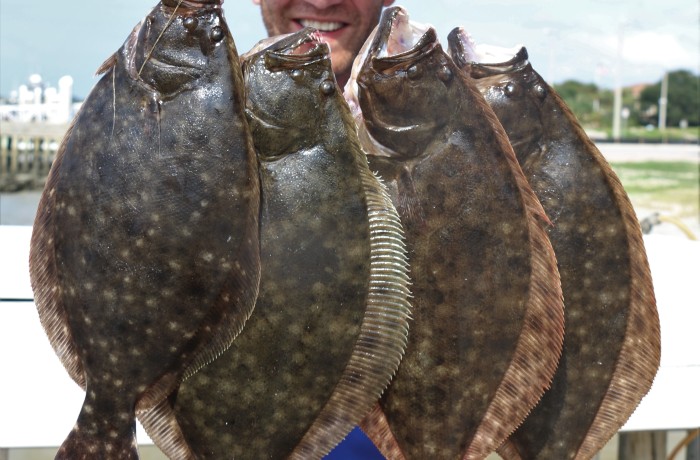 Chip with a handfull of Door Mats