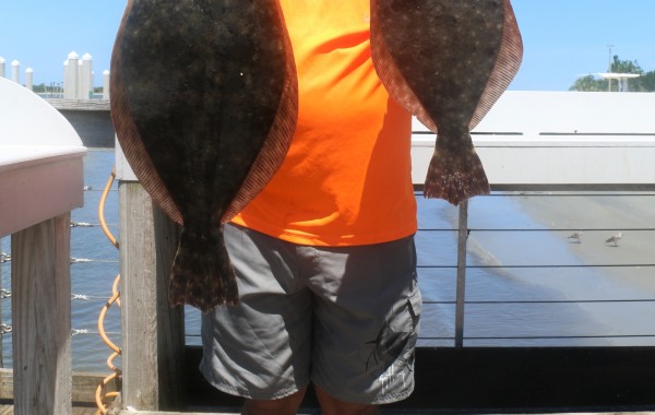 Pair of monster Flounder