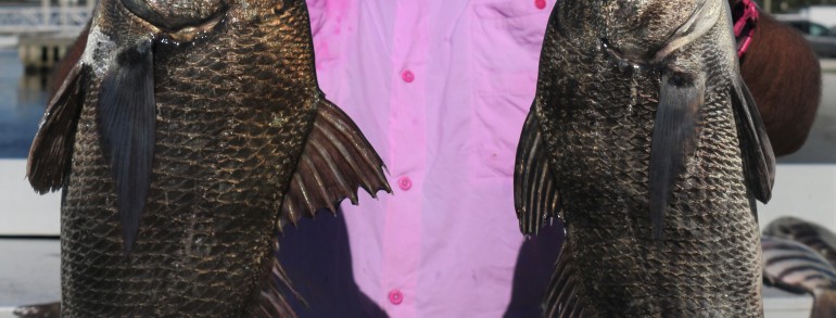 Pair of perfect Drum