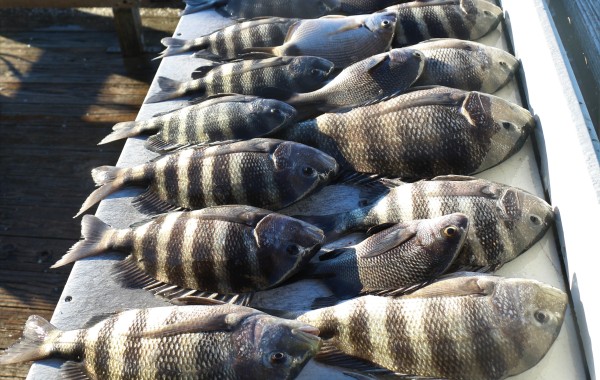 Another early Convict trip in the books