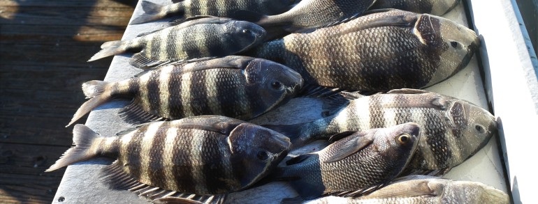 Another early Convict trip in the books